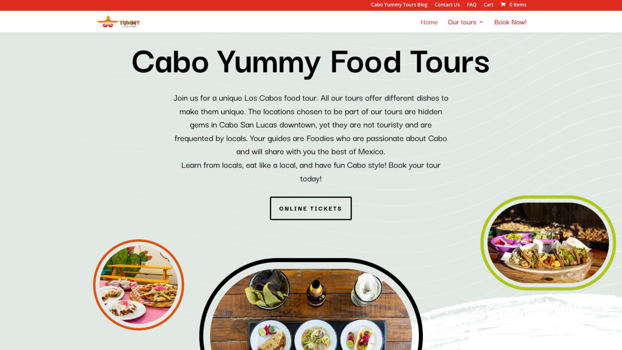 cabo yummy tours international project